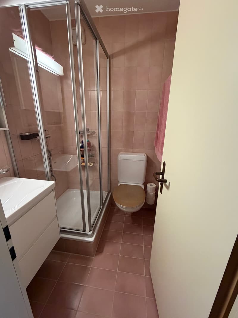 Modern bathroom with pink tiles, a toilet, a sink, a glass-enclosed shower, and a pink towel hanging on the wall.