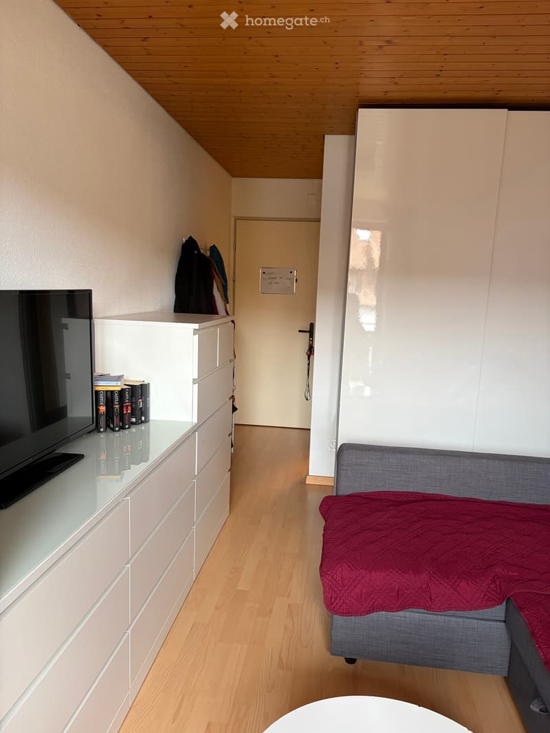 A modern, compact living space with a grey sofa, a white cabinet, a TV, and a small round table. The room features light wooden flooring and white walls.