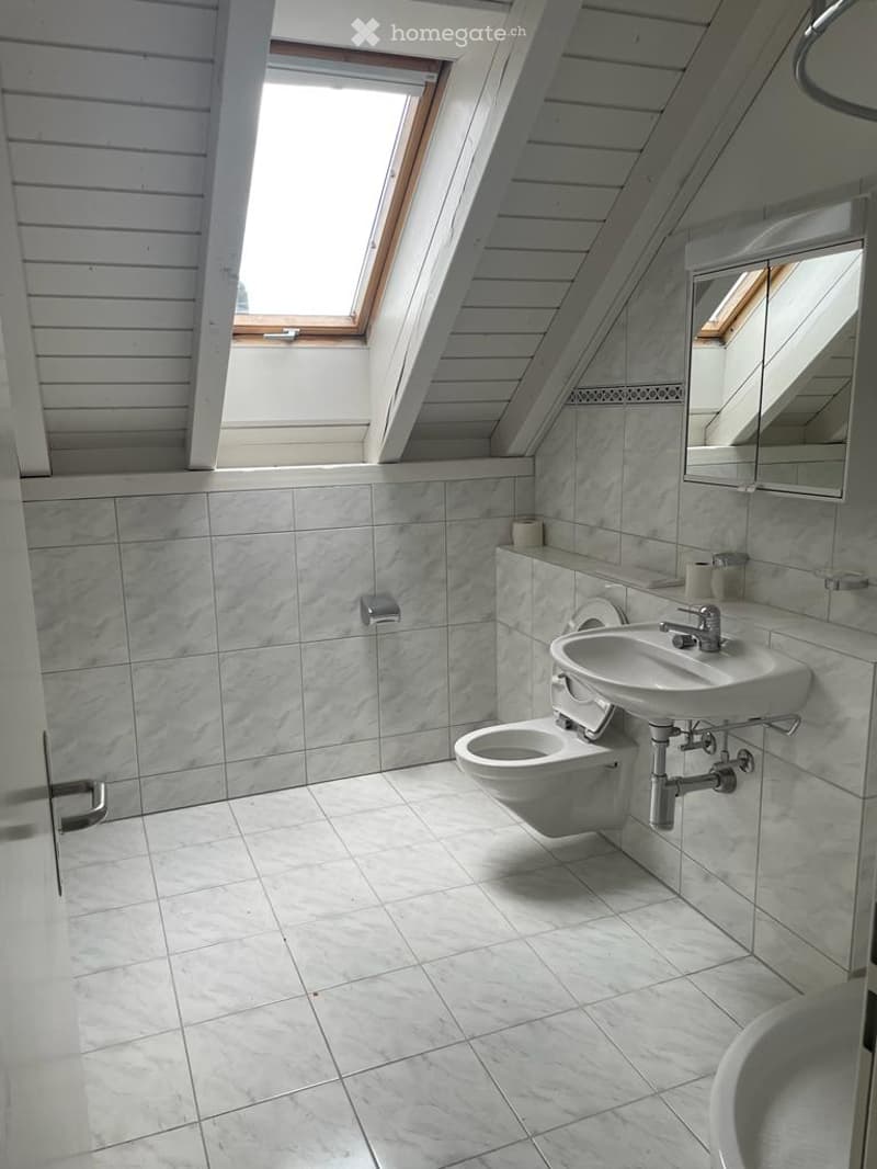 Modern bathroom with white marble tiles, a toilet, a sink with a mirror, and a skylight window providing natural light.