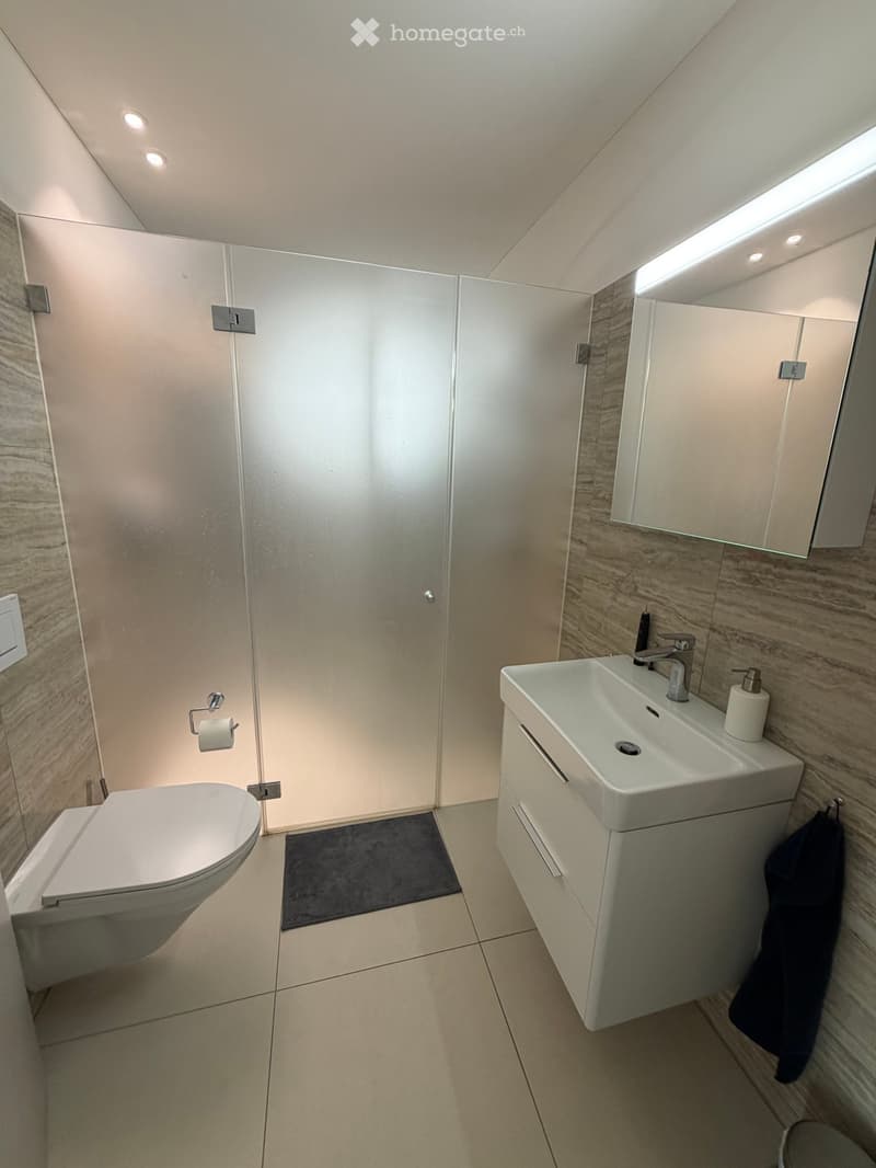Modern bathroom with a toilet, sink, mirror, and cabinet. Features a glass shower enclosure and a dark towel hanging on a rack.