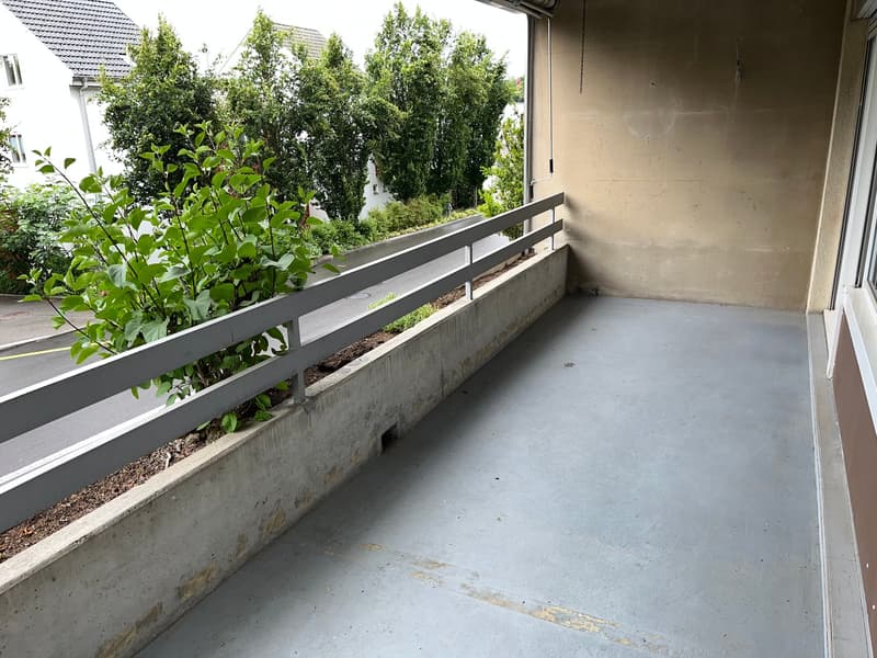 Balcony with concrete floor, white railing, small plant in the corner, and a view of greenery and neighboring buildings.
