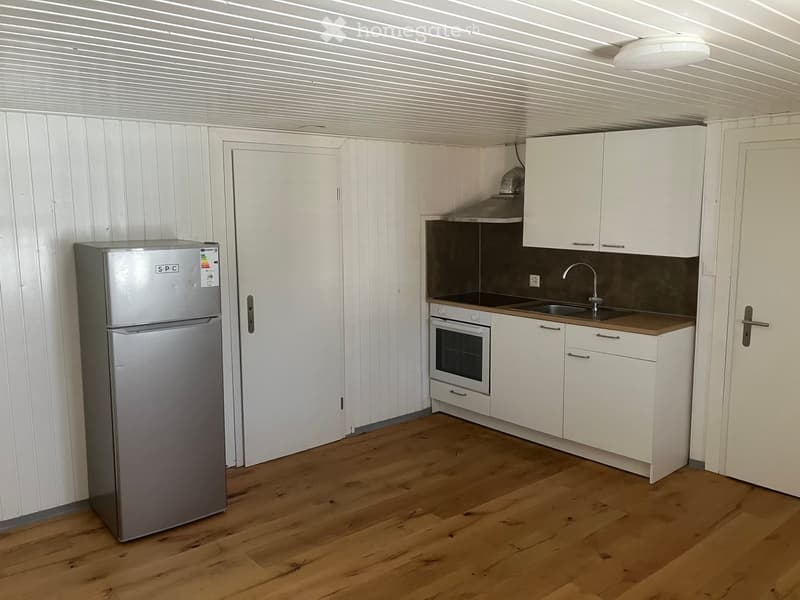 Modern kitchen with white cabinets, stainless steel appliances, wooden flooring, and a sleek design.