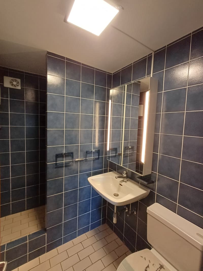 Modern bathroom with dark blue tiles, white sink, mirror, and toilet. Features a built-in shelf and a ceiling light.