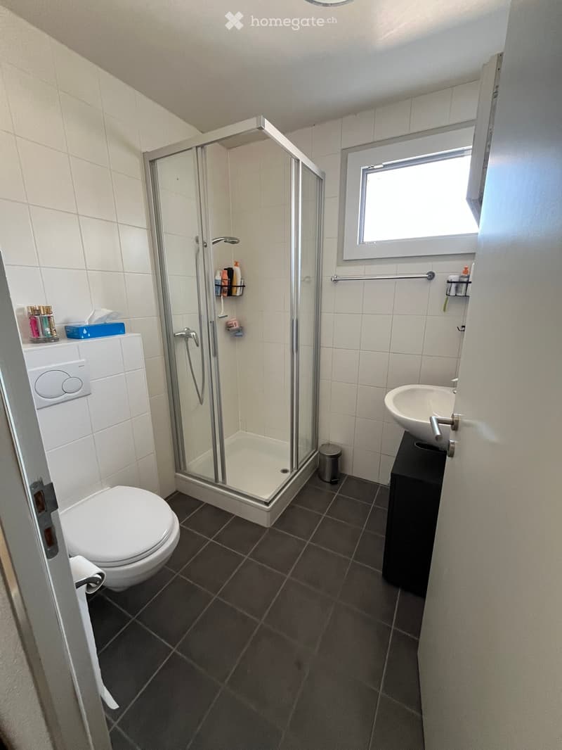 Modern bathroom with white tiles, dark grey floor tiles, a walk-in shower with glass doors, a toilet, a sink with a mirror, and a towel rack.