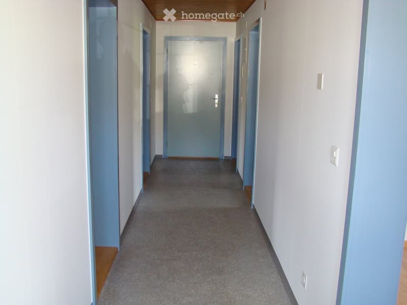 Empty hallway with light-colored walls, carpeted floor, and several doors on both sides.