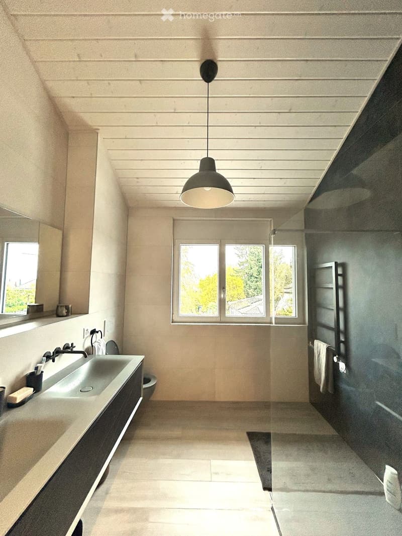Modern bathroom with a large sink, sleek faucet, mirror, pendant light, and a glass-enclosed shower area.
