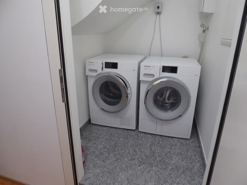 Compact laundry area with a washing machine and dishwasher, white walls, grey carpeted floor, and a small shelf on the right wall.
