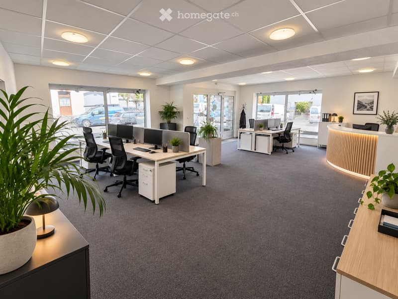 Modern office space with desks, chairs, computers, and plants. Features a reception area with a curved desk and a large potted plant in the foreground.