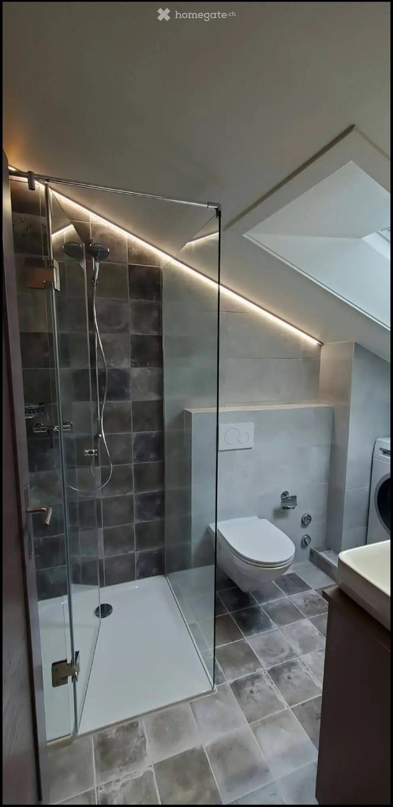 Modern bathroom with a glass-enclosed shower, toilet, and sink. Features include dark tiled walls, a skylight window, and built-in lighting along the shower wall.