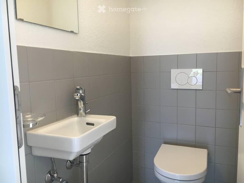 Modern bathroom with a white sink, chrome faucet, toilet, and a mirror above the sink. Grey tiled walls and a sleek design.