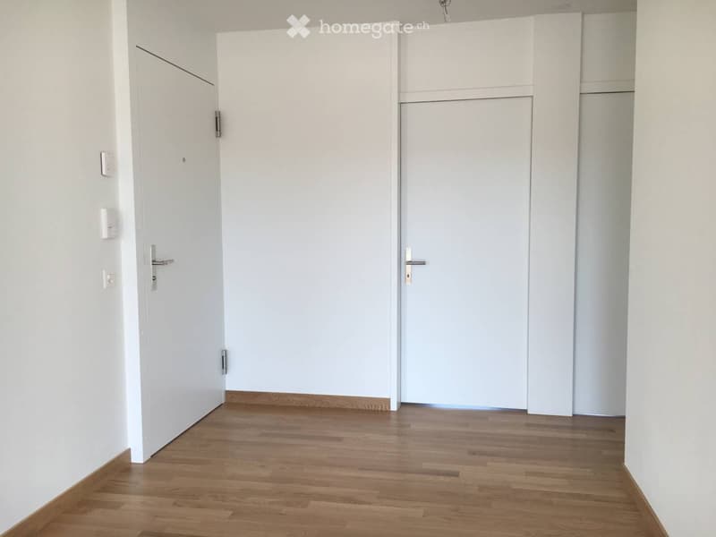 Empty hallway with light wooden flooring and white walls, featuring two closed doors and light switches on the left wall.