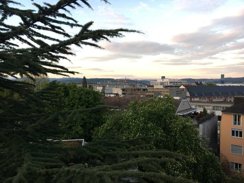 A serene view of a cityscape from a garden or outdoor area, featuring trees, buildings, and a distant skyline at sunset.