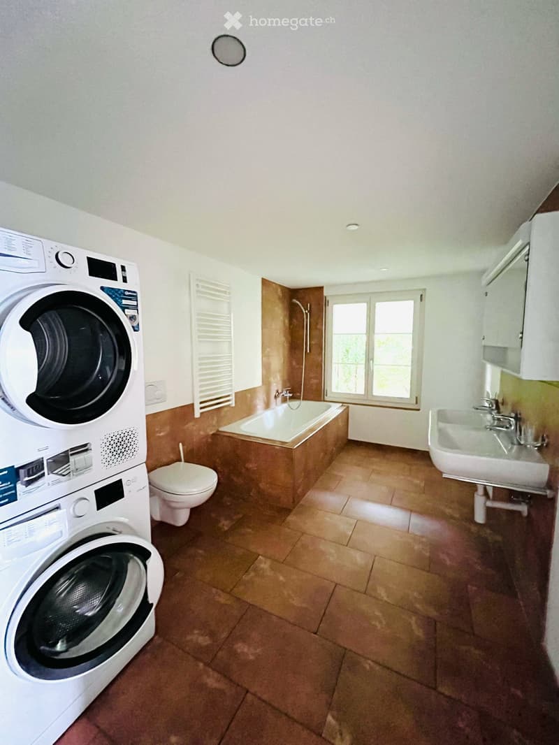 Suchen Sie ein neues schönes Zuhause mit grossem Gartensitzplatz? (10)