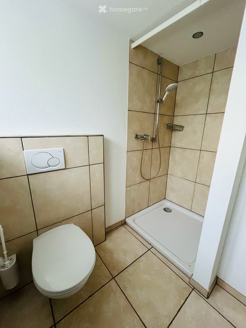 Suchen Sie ein neues schönes Zuhause mit grossem Gartensitzplatz? (14)