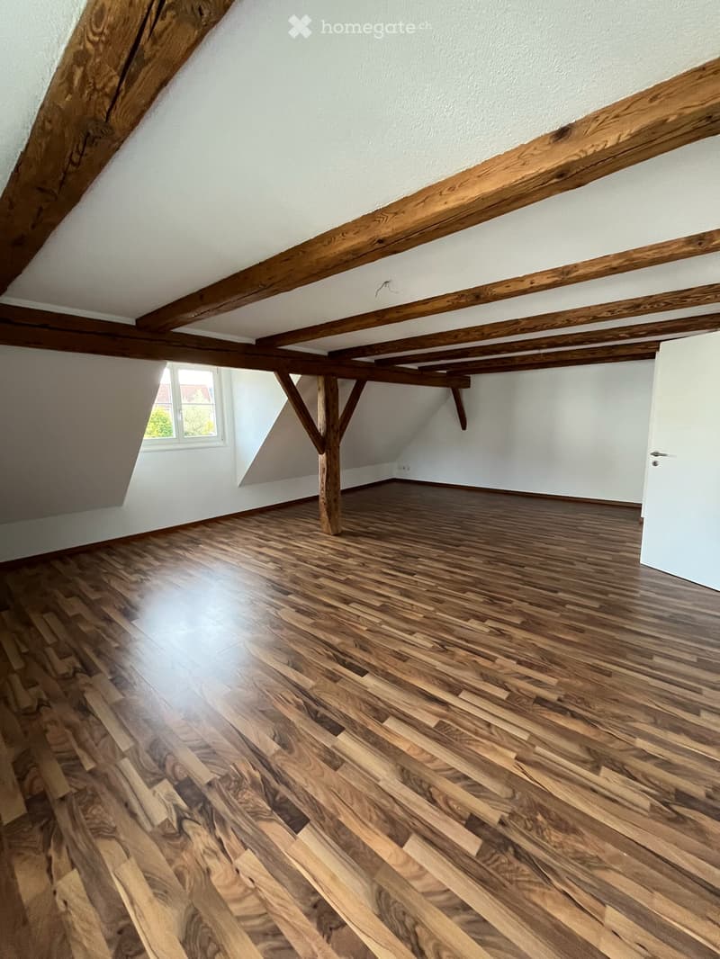 Suchen Sie ein neues schönes Zuhause mit grossem Gartensitzplatz? (6)