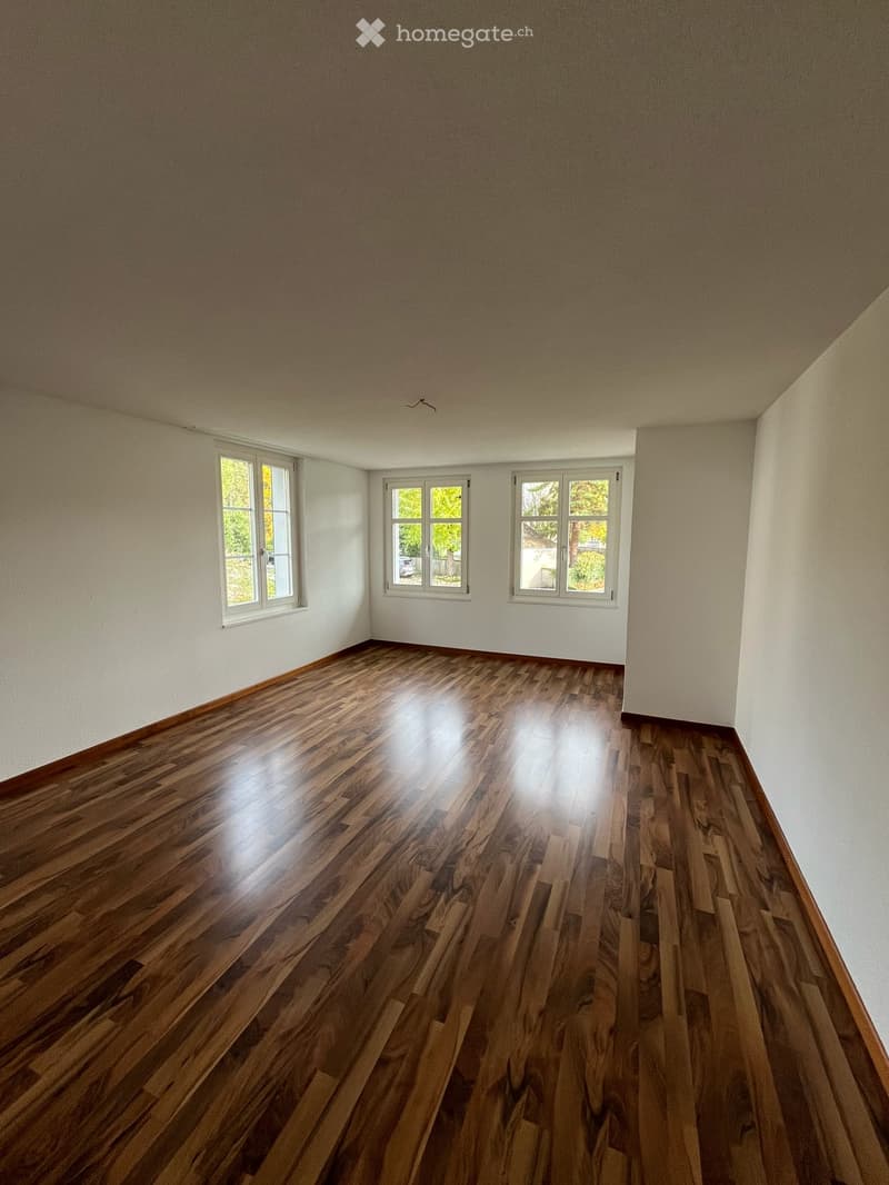 Suchen Sie ein neues schönes Zuhause mit grossem Gartensitzplatz? (11)