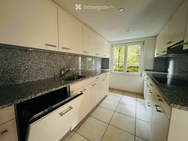 Suchen Sie ein neues schönes Zuhause mit grossem Gartensitzplatz? (7)