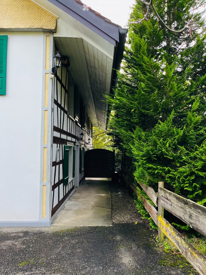 Suchen Sie ein neues schönes Zuhause mit grossem Gartensitzplatz? (4)