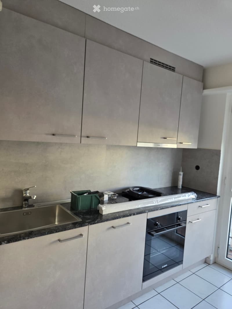 Modern kitchen with grey cabinets, a stainless steel sink, and a built-in oven. The countertop is dark granite, and the floor is tiled.