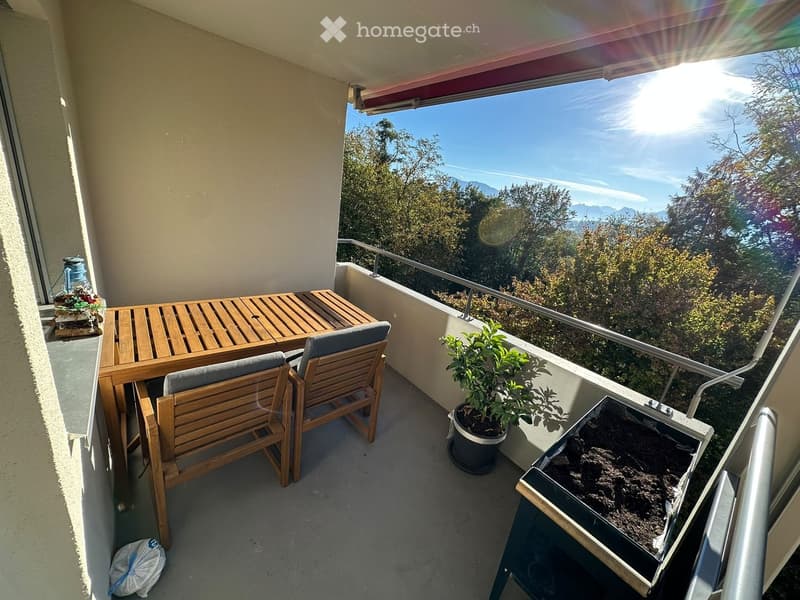 Balcony with wooden table and chairs, potted plant, scenic mountain view.