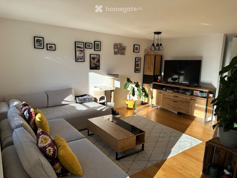 Bright living room with wooden flooring, a grey sectional sofa with colorful pillows, a wooden coffee table, a television on a wooden stand, a cat tree, and potted plants.
