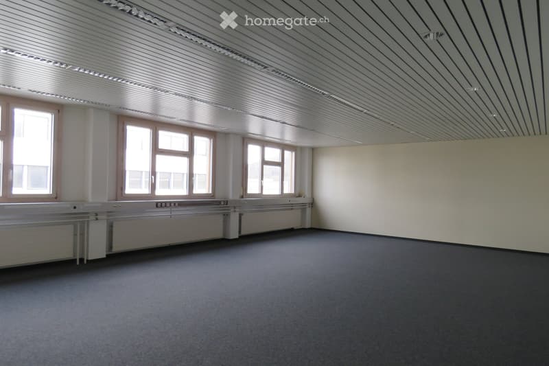 Empty room with bare walls, carpeted floor, large windows, and a radiator along one wall.