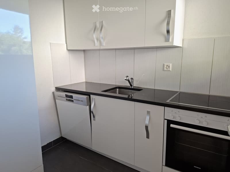 Modern kitchen with white cabinets, black countertops, stainless steel sink, dishwasher, oven, and induction cooktop.