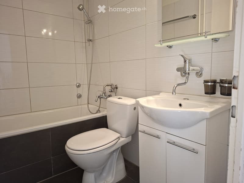 Modern bathroom with white tiles, a toilet, a sink with a faucet, a bathtub, and a mirror with a glass shelf above it.