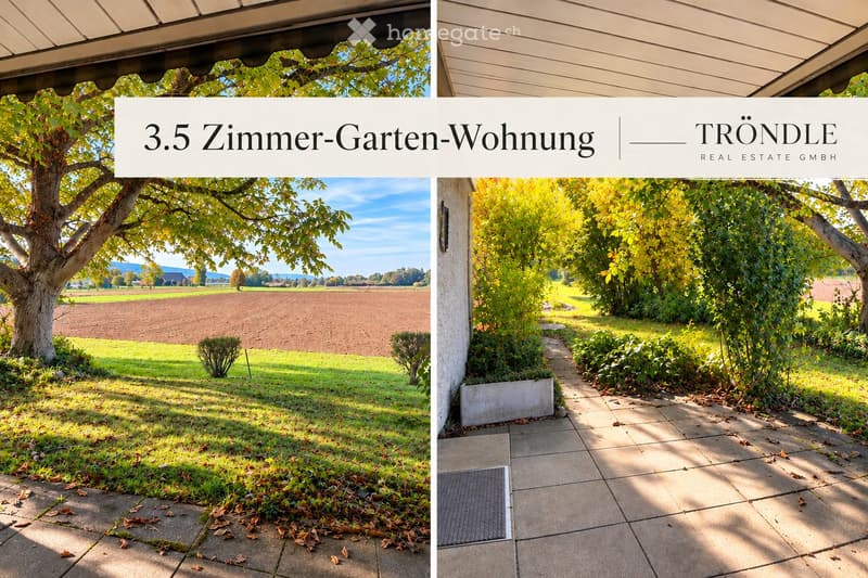 A peaceful garden area with a large tree, well-maintained lawn, and a pathway leading to a house entrance, surrounded by greenery and a scenic rural backdrop.