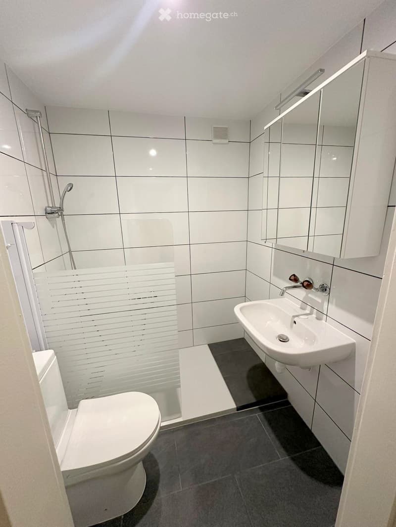 Modern bathroom with white tiles, a toilet, a sink, a shower area with a glass door, and a mirror above the sink.