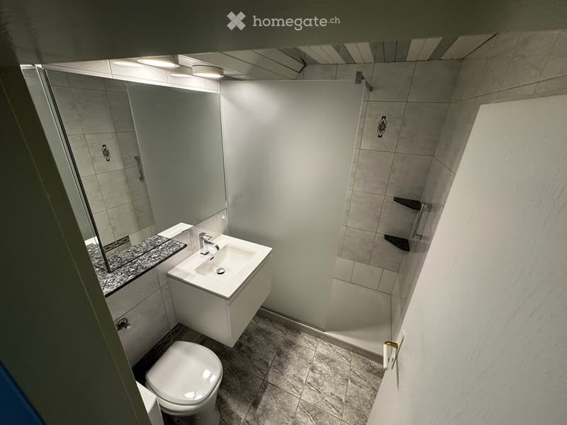 Grosse 3.5 Zimmer in Wettingen, 107 m2, CHF 2'100.- (6)