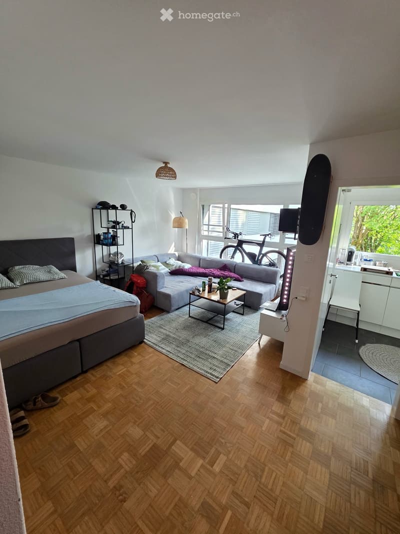 Wohnung in Winterthur (2)