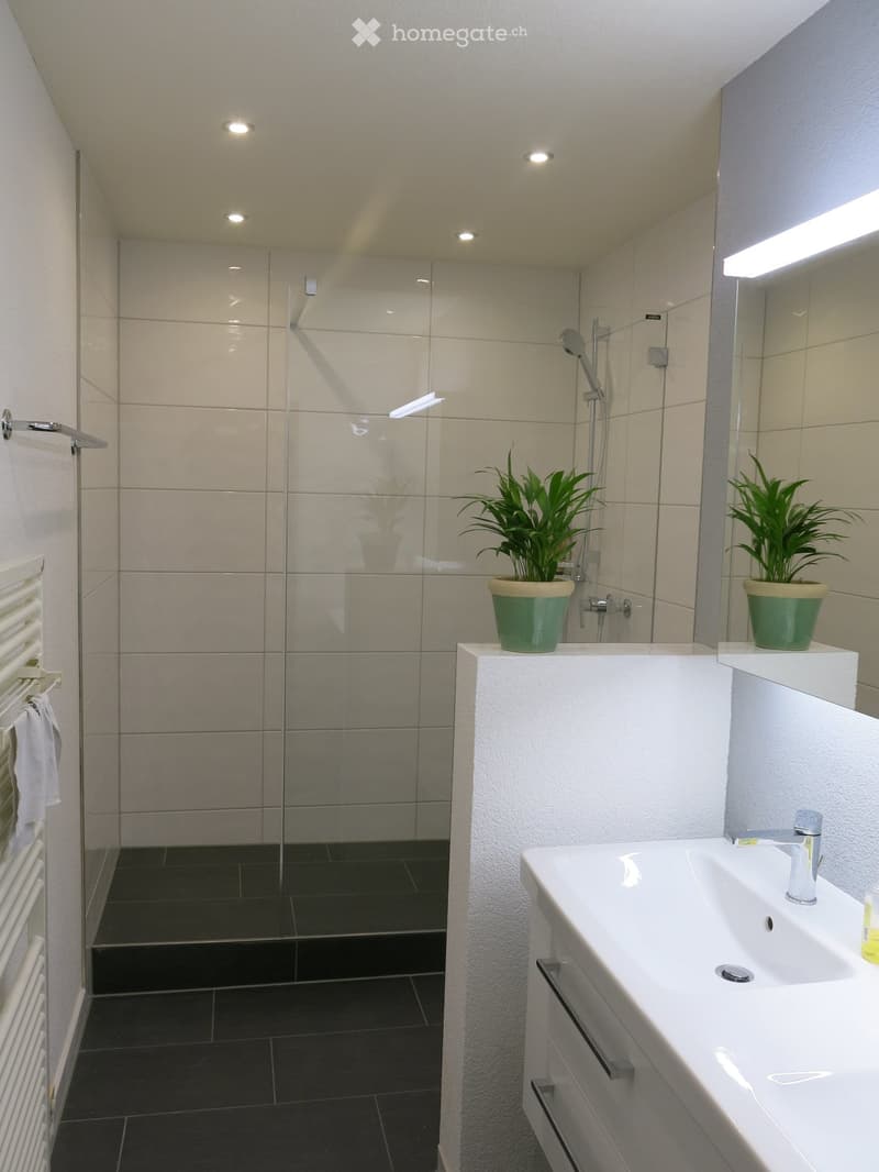 Modern bathroom with a white sink, chrome faucet, glass shower enclosure, towel radiator, and potted plants on the sink counter.