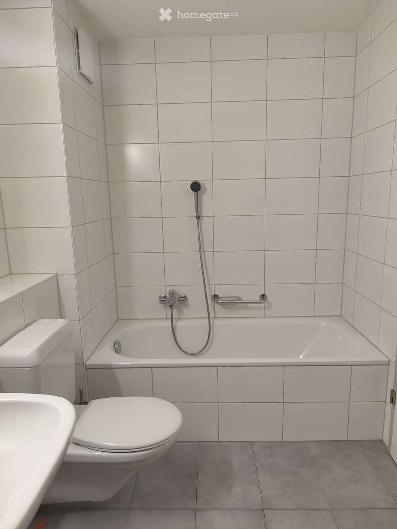 Modern bathroom with white tiled walls and grey tiled floor, featuring a bathtub with a handheld showerhead, a toilet, and a handrail next to the tub.