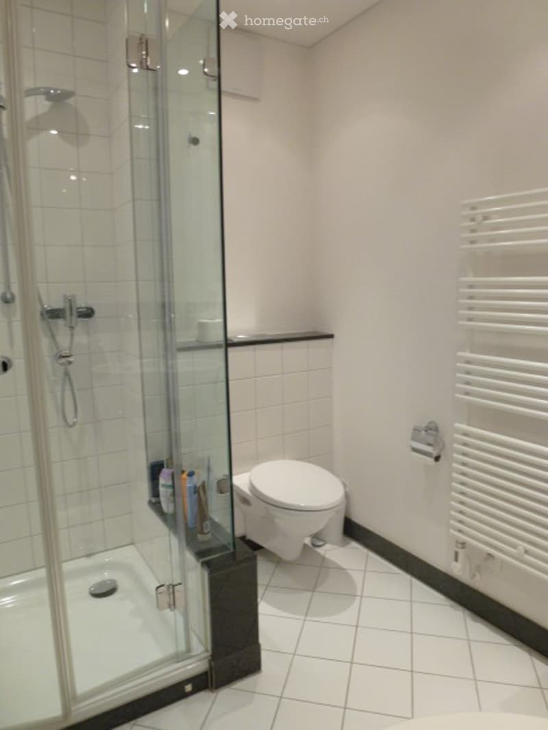 Modern bathroom with white tiles, a glass-enclosed shower, a toilet, a towel rack, and a shower rack holding toiletries.