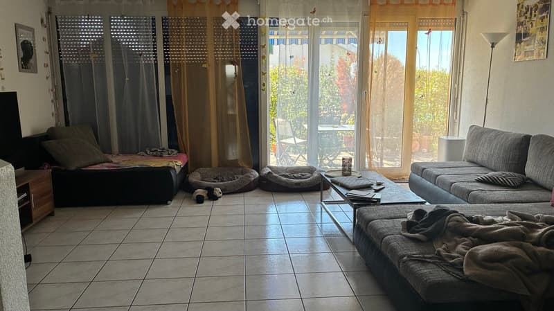 Living room with tiled floor, large windows, sofa, coffee table, dog beds, TV stand, and a bed in the corner.
