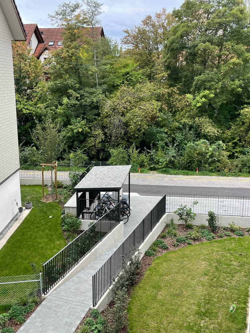 Garden area with a raised ground floor, featuring a paved pathway, black metal railing, small shed, bicycles, and surrounding greenery.