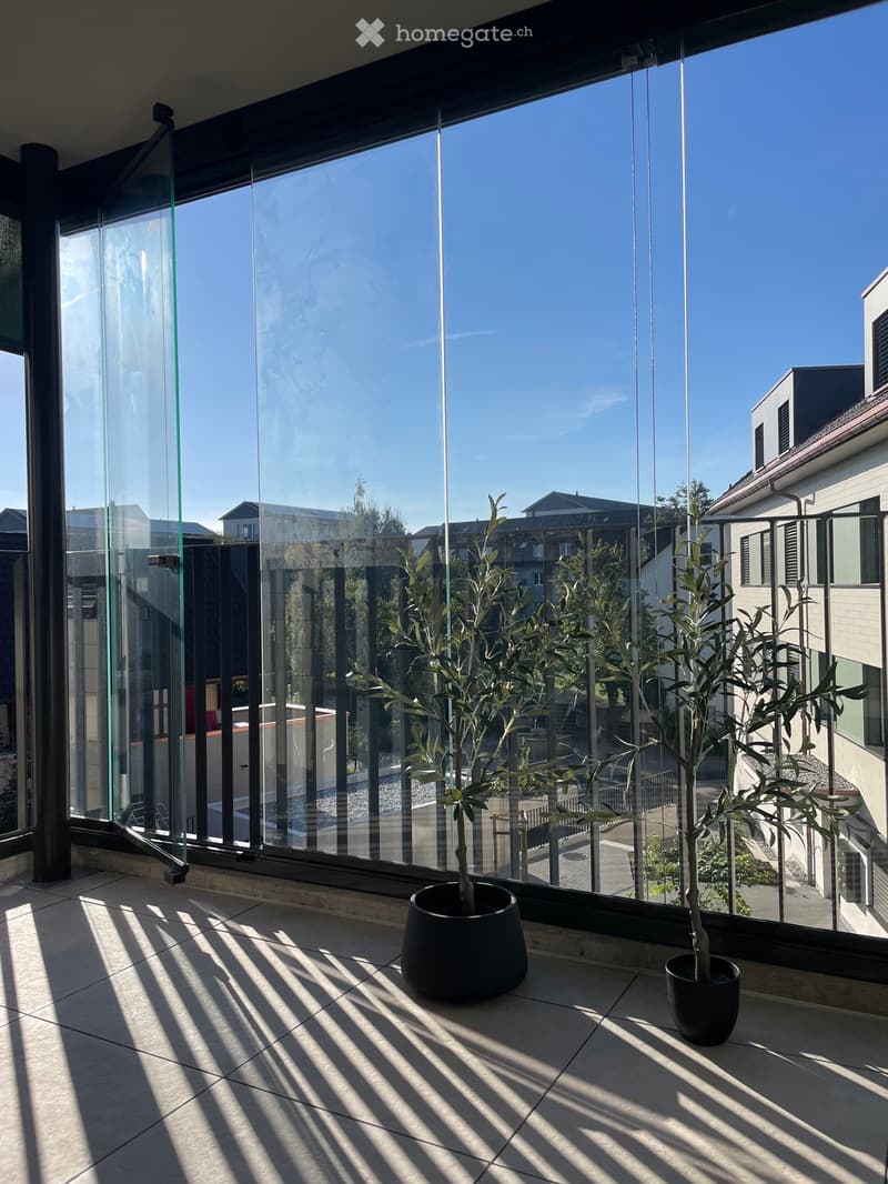 Modern balcony with large glass windows, tiled floor, and two potted plants, offering a view of the surrounding area.