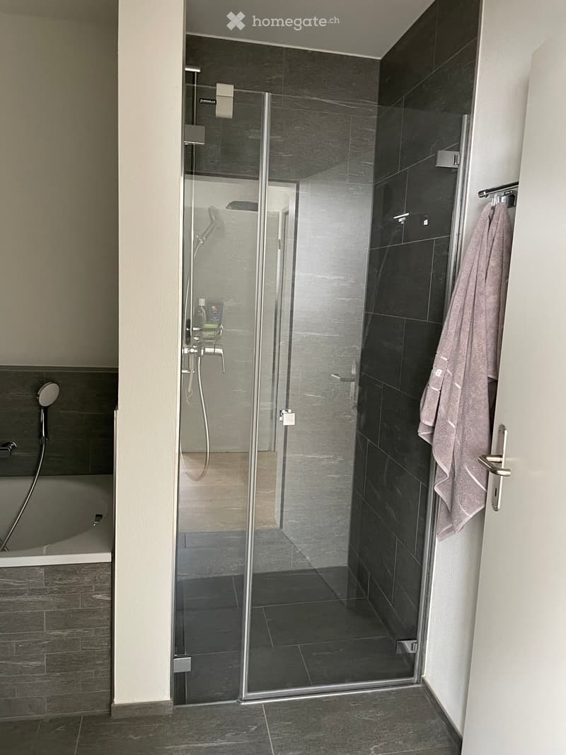 Modern bathroom with a glass-enclosed shower, bathtub, and a towel hanging on the door.