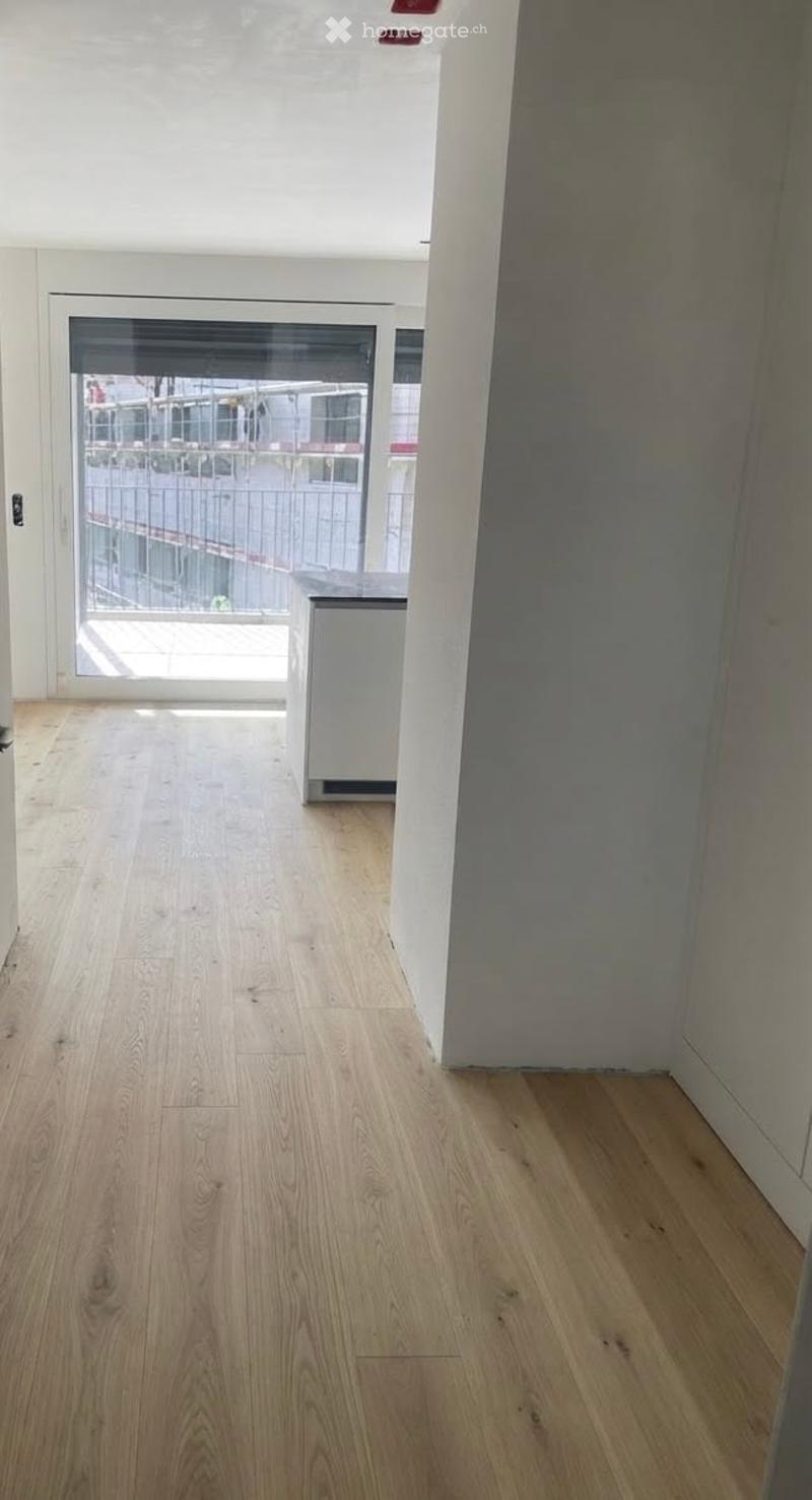 Empty room with light wooden flooring, white walls, and a large glass door leading to a balcony or outdoor area.