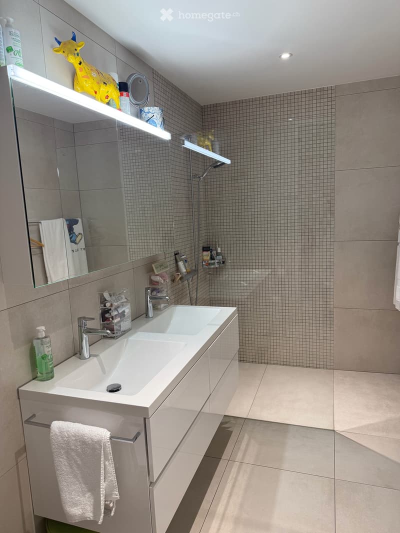 Apartment in Bad Ragaz (4)