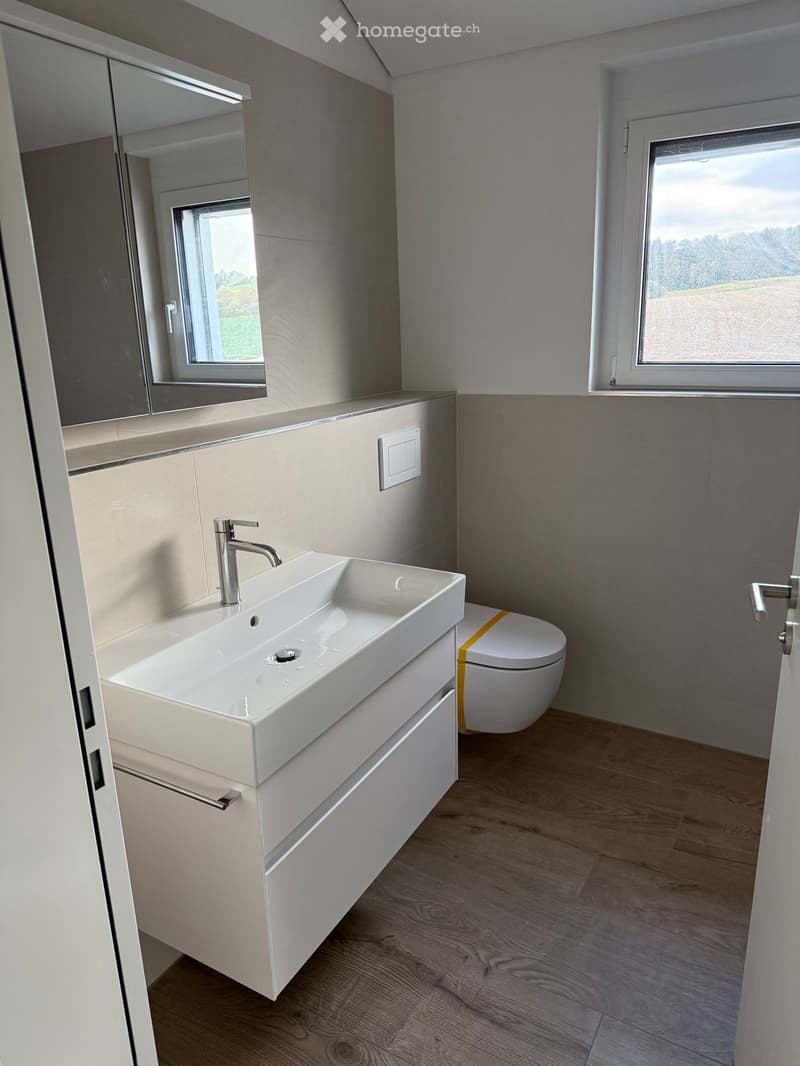 Modern bathroom with a white sink, chrome faucet, toilet, and mirrored cabinet. Light wood flooring and neutral-colored walls.