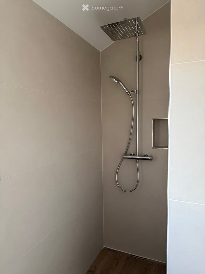 Modern shower area with a sleek, wall-mounted showerhead, handheld shower hose, and control valve. Light-colored tiles and wooden flooring.