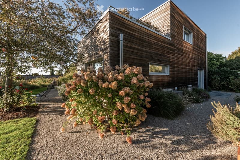Modern wooden house with a flat roof and large windows, surrounded by a well-maintained garden with gravel pathways, flowering shrubs, and outdoor seating.