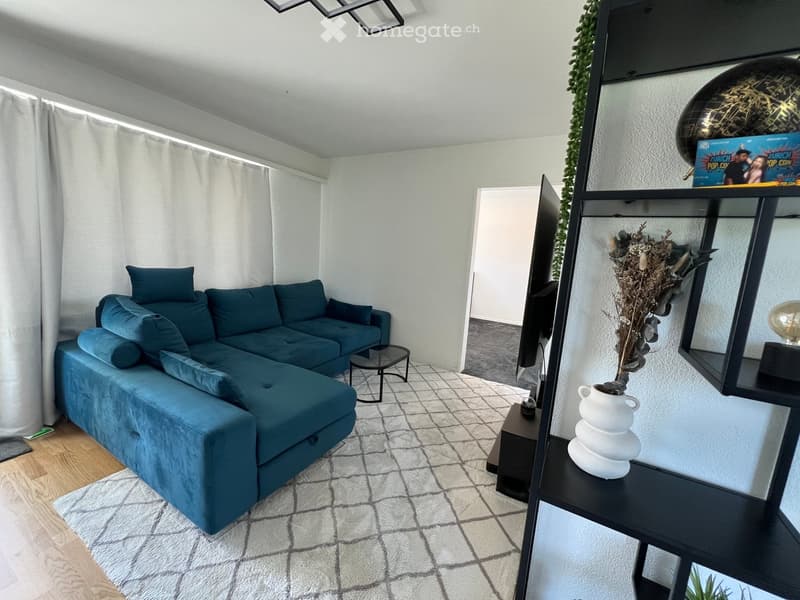 Modern living room with a blue sectional sofa, coffee table, shelving unit with decorative items, and a large screen. The space features a mix of wooden and tiled flooring, large windows with white curtains, and a cozy rug.
