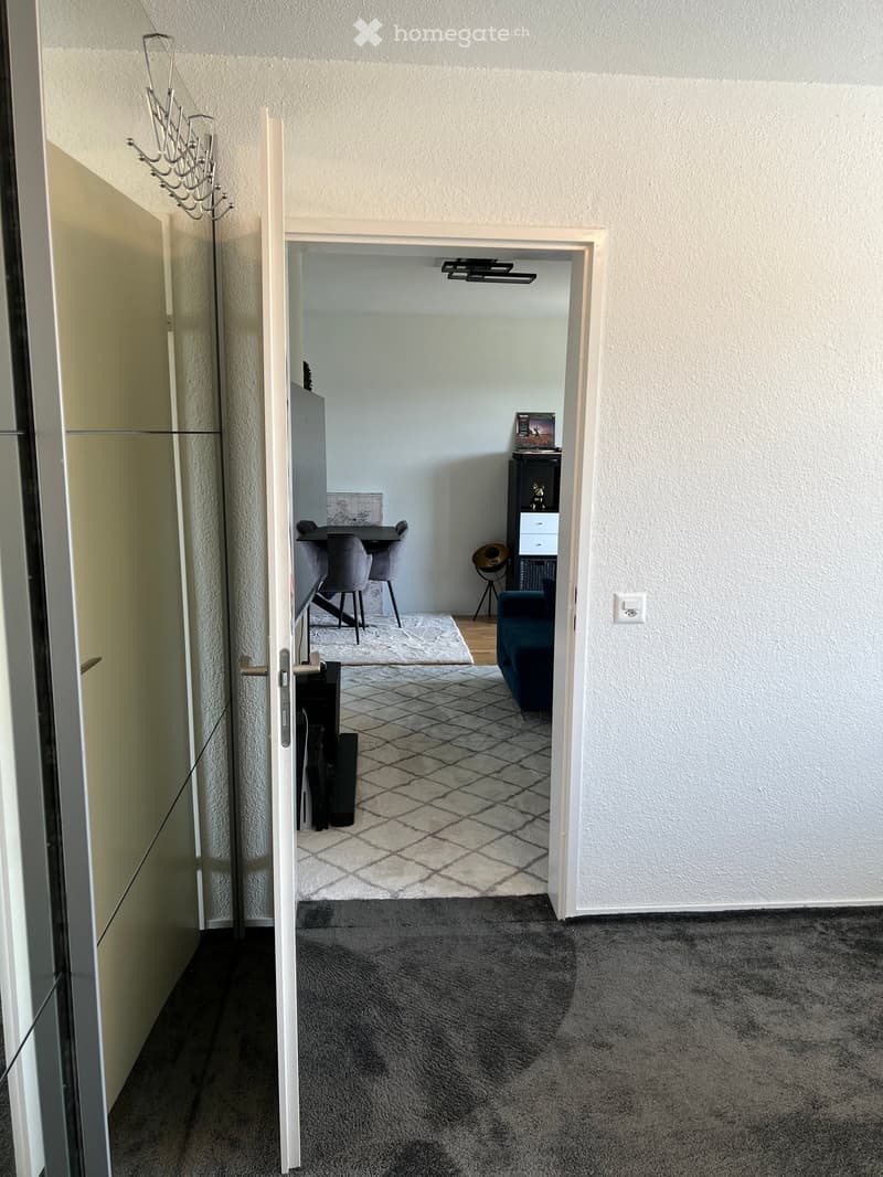 Open hallway with grey carpet, white walls, and an open door leading to a furnished room with a sofa, dining table, and chairs.