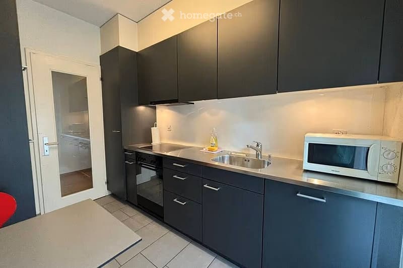 Modern kitchen with dark grey cabinets, stainless steel sink, microwave, and built-in oven. The space features a sleek, contemporary design with a clean, minimalist aesthetic.