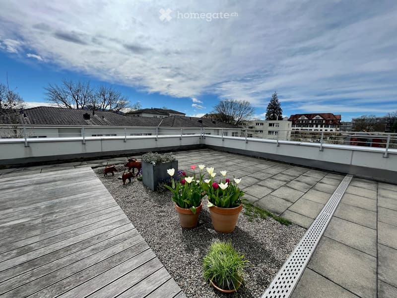 small garden, wooden deck, gravel flooring, several flower pots, 2 deer figurines, small plants, wooden fence, clear sky, distant trees and houses
