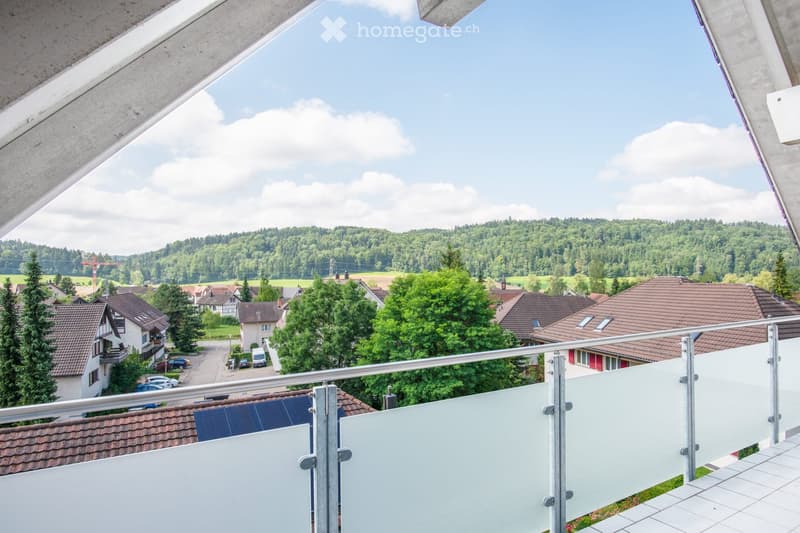 Balcony with a modern glass railing, overlooking a suburban neighborhood with houses, trees, and a distant forested hill.