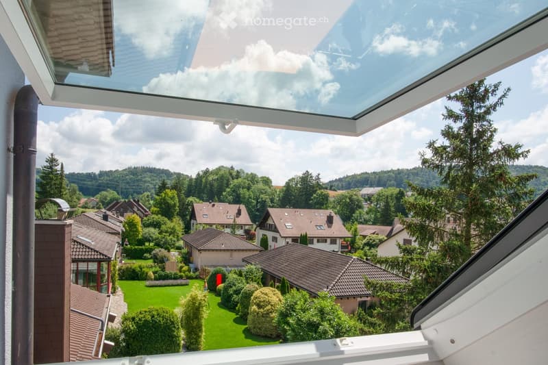 View from a balcony showing a suburban neighborhood with houses, green lawns, trees, and a clear sky.